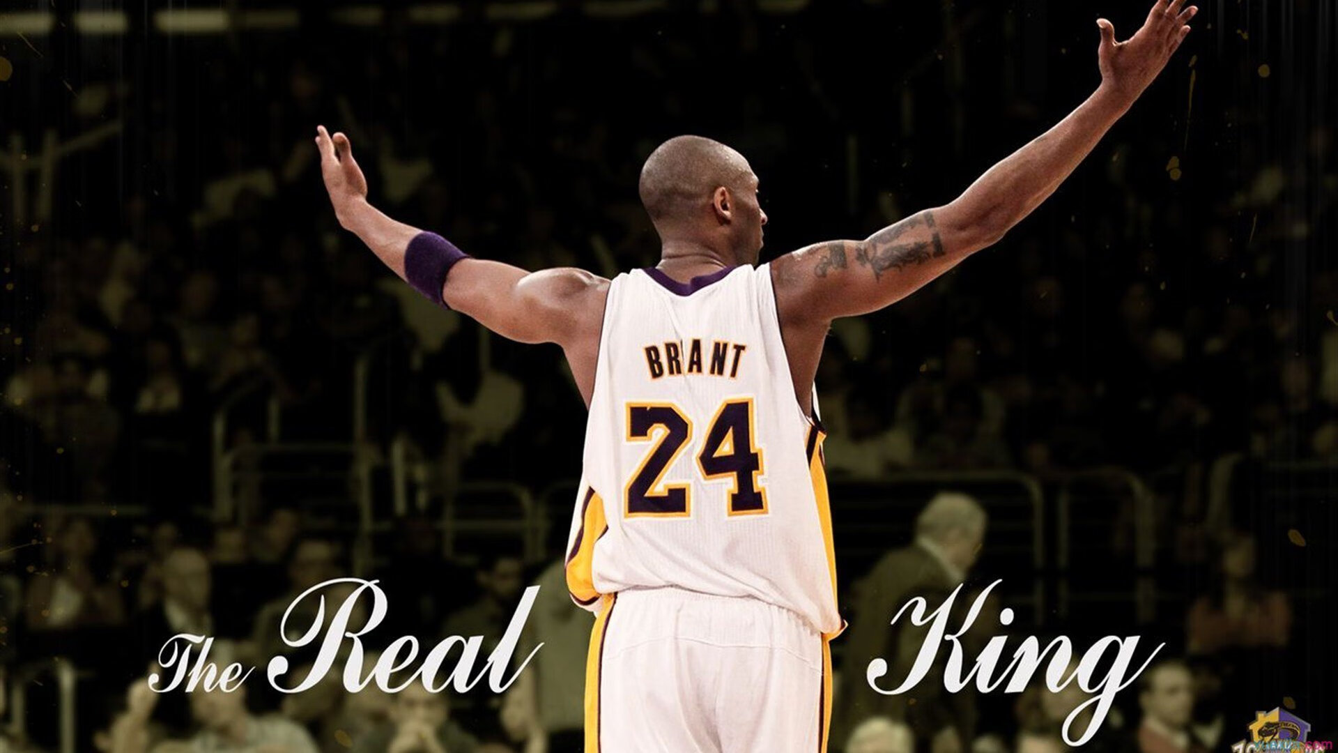 公牛重建步伐启动德罗赞未来不确定，公牛有意施罗德