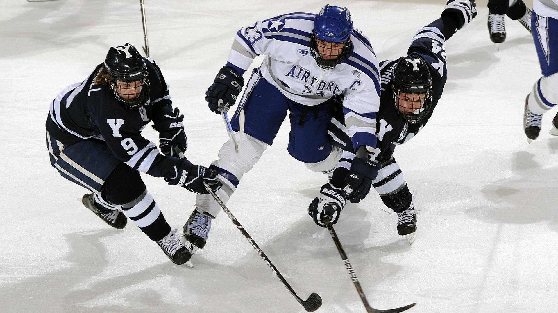 袋鼠队主力球员：塔特 (Tate McDermott)，袋鼠体育品牌